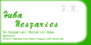 huba meszarics business card